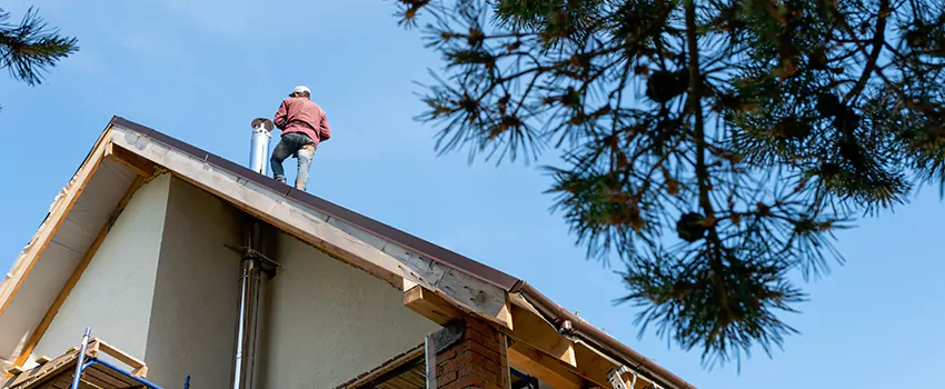 Birds Removal Contractors from Chimney in Pasadena, CA